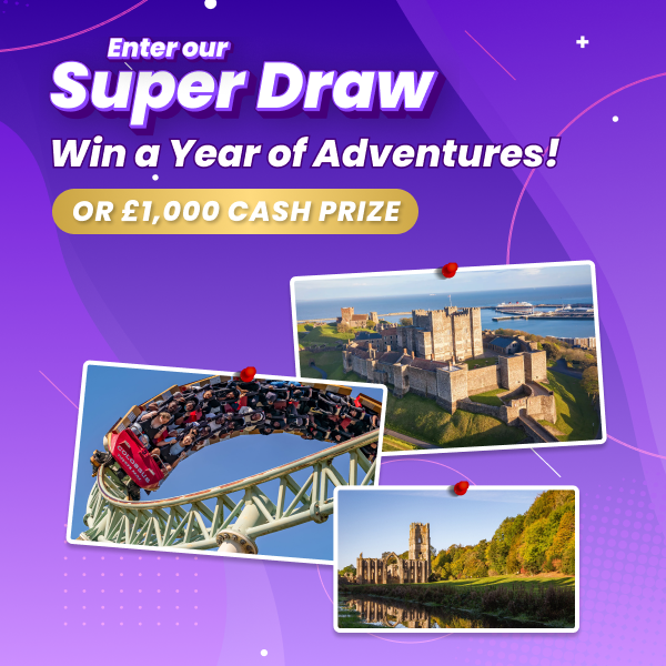 Win a Year of Adventures!